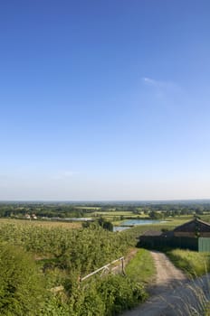 A rural scene with an apple orchard