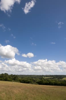 A view of farmland in Kent in summer