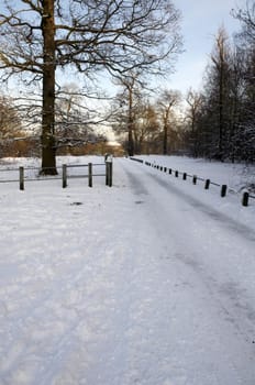 A footpath covered in snow with a fence