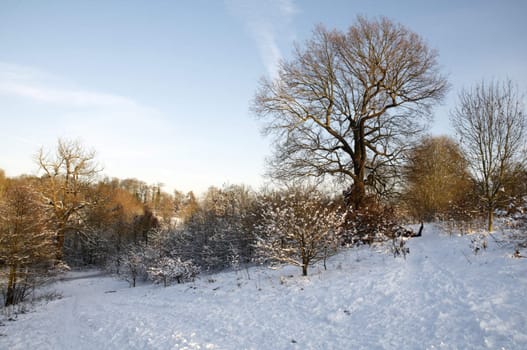 A field covered in snow with trees in the background