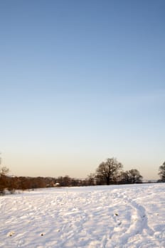 A view of a park covered in snow on the ground and trees