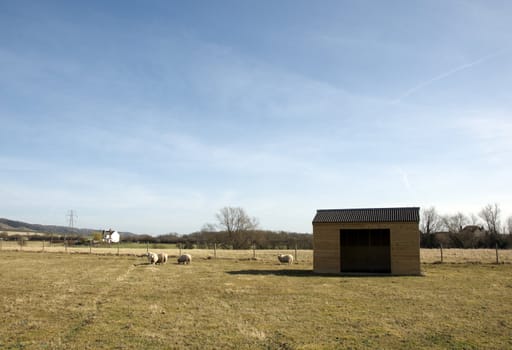 A wooden shed in field of grass