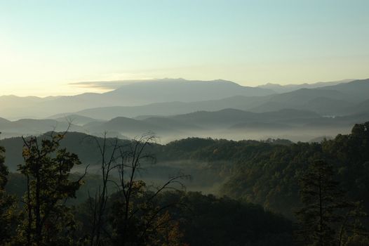 Misty Mountain Morning