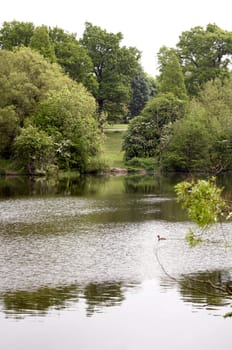 A lake in a park with trees in the background