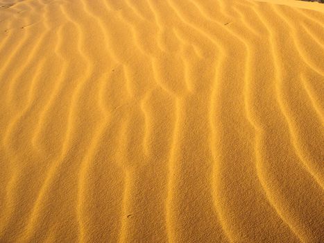 Sun creates light waves on sandunes