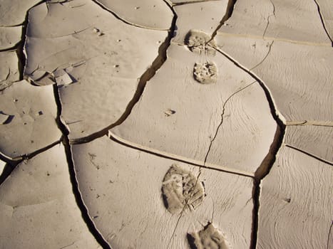 Footprints in dried sand Death Valley USA