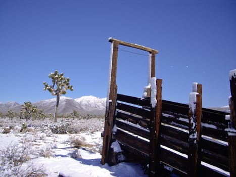 Winter snow on cattle shute Mojave Desert USA