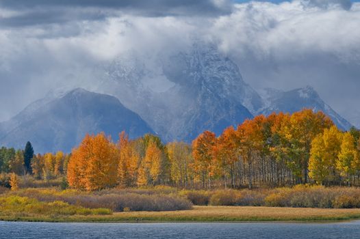 View of Fall clashing with Winter at Grand Tetons