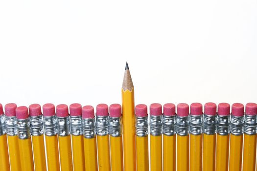 close up shot of a sharp yellow pencil amongst other pencils with erasers on the end shot against a white background.
