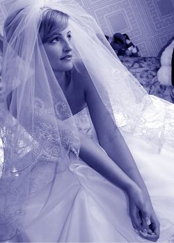 Portrait of beautiful bride in traditional wedding dress and veil.