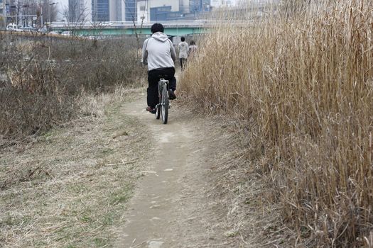 Cycling during winter with dried grass at Anyang Korea
