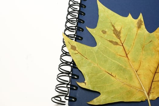 Spiral Notebook And Leaf concept with copyspace