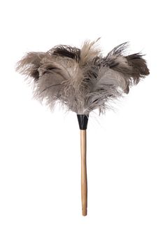 Gray ostriched feather duster with wooden handle on white background
