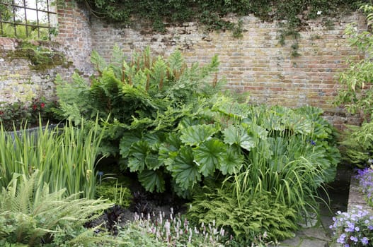 A pond with lush planting by a brick wall