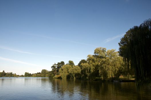A lake in summer with trees in the background