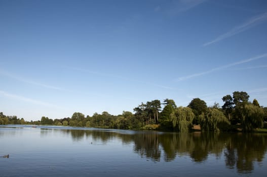 A lake in summer with trees in the background