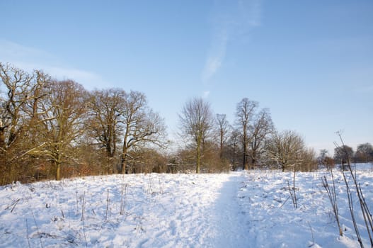 A footpath covered in snow with trees in the background