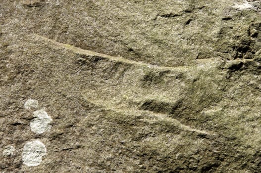 A close up shot of a stone wall