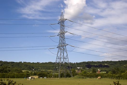 A pylon in a field in the countryside