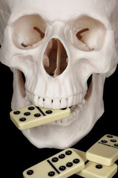The skull clutched in his teeth dominoes isolated on a black background