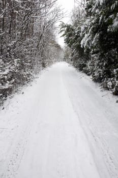 A footpath covered in snow with trees in the background