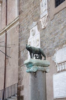 The statue of Romul and Remus off the side of Campidoglio square.