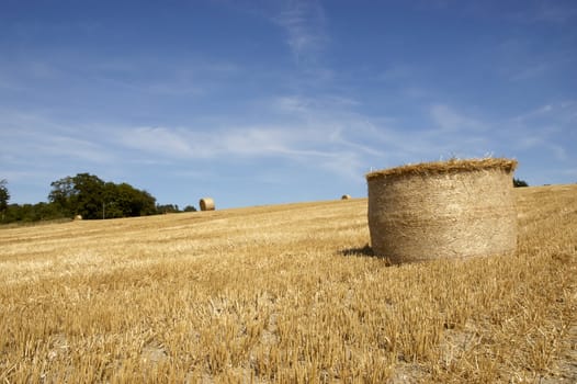 summer landscape with hay bales and deep blue skyscape