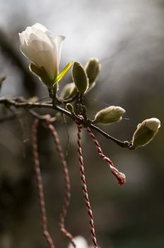 red and white string worn in march by women in europe