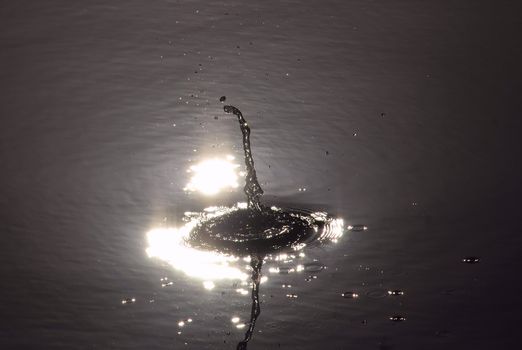 water motion on the lake, at sunseet