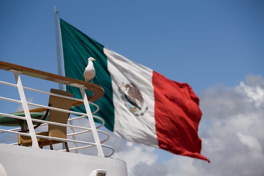 Seagull on deck railing in front of large Mexican flag.