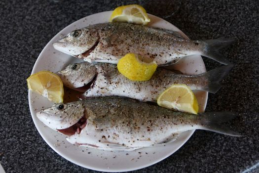 Three whole fresh fish from the ocean ready for cooking