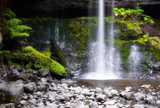 A photography of a nice rainforest waterfall in Australia