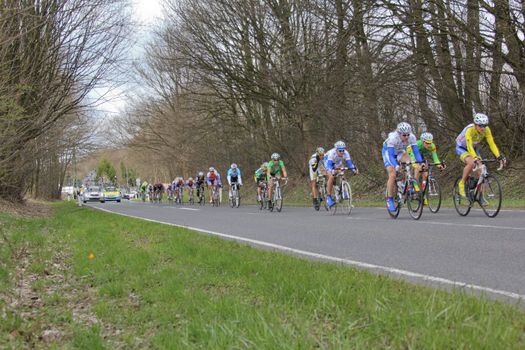 Cycle Race "Rund um Koeln" (Around Cologne)