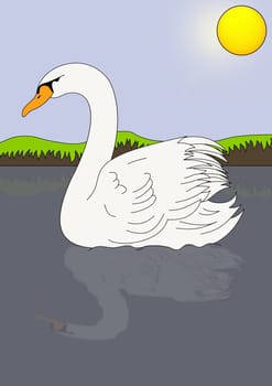 Illustration of a swan