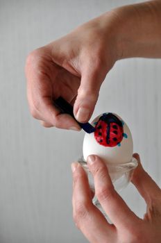 Female hands coloring an easter egg - painting a ladybug on it - behind gray