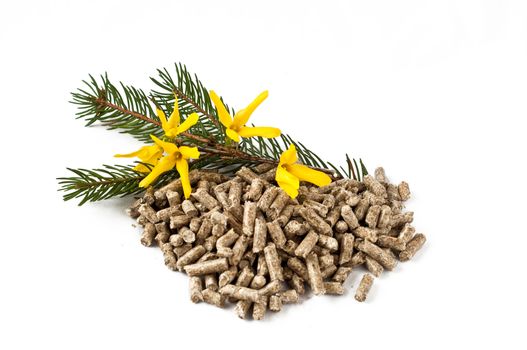 pellet, and spring flowers on a white background