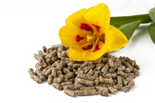 pellet and spring flowers on a white background