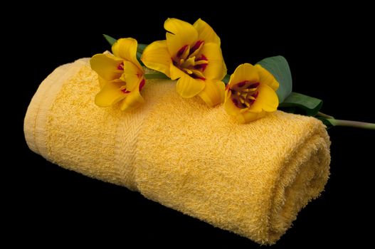range of creams and accessories for personal care