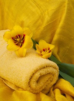 range of creams and accessories for personal care