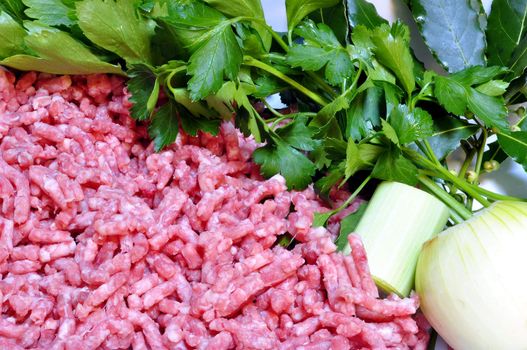 raw minced meat with parsley and onions