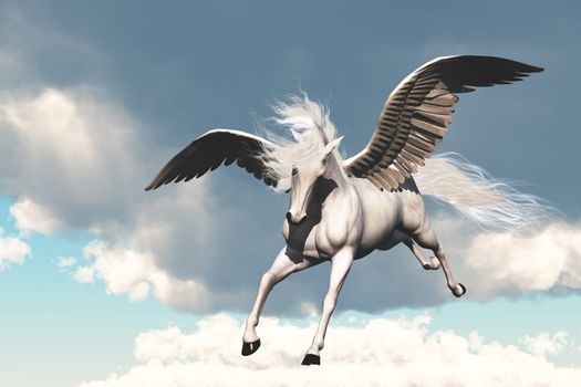 The creature of ancient fable and myth, a beautiful flying white horse.
