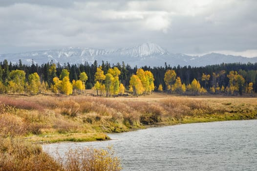 Moody Fall colors at Grand Tetons