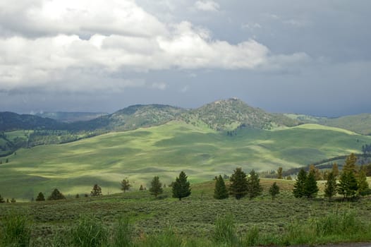 Soft light highlights Lamar Valley after storm Yellowstone