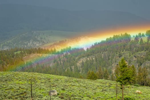 Rainbow arcs Lamar Valley after a storm