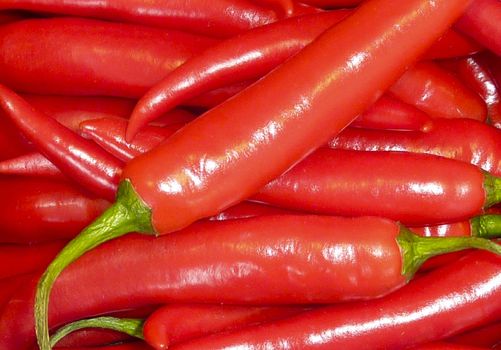 Close up of red chilly peppers on vegetable market