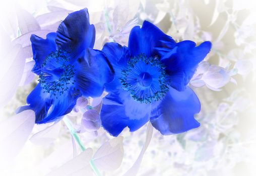 composition of flowers that seem to jump out of the negative photo