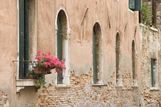 Arched windows and geranium flowers in Venice, Italy.