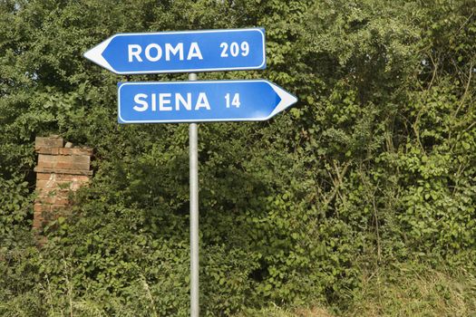 Italian street signs with overgrown vegetation pointing to Rome and Siena.