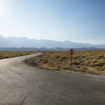 Road with stop sign in barren landscape with mountain in distance.