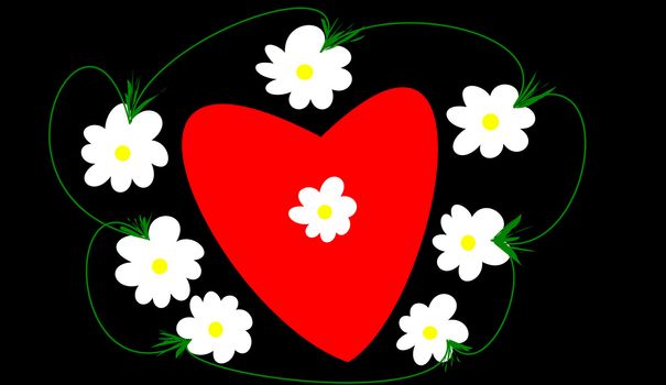 the heart and daisies